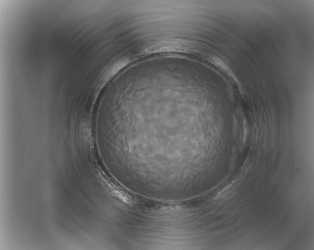 X0000062620882200512281526