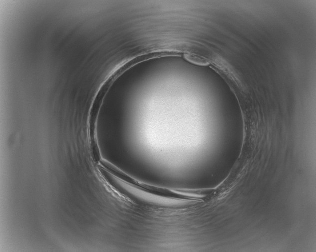 X0000062620884200512281526