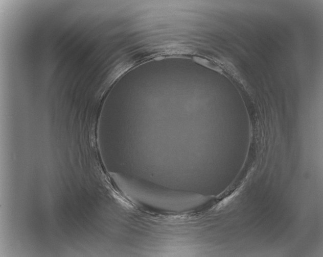 X0000062620889200512281526