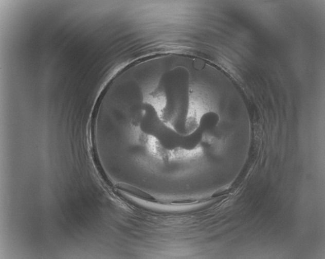 X0000062620891200512281526