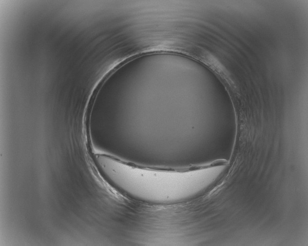 X0000062620892200512281526