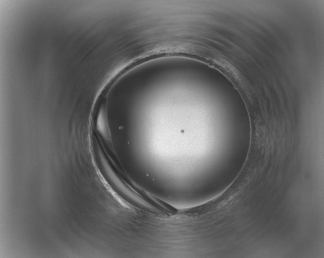 X0000062620894200512281526