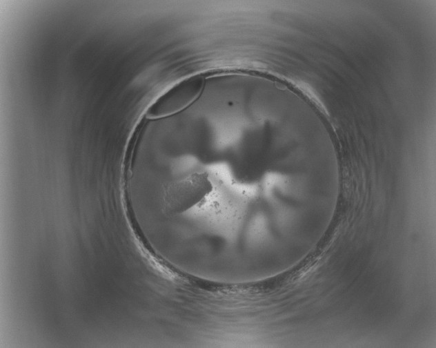 X0000062620895200512281526