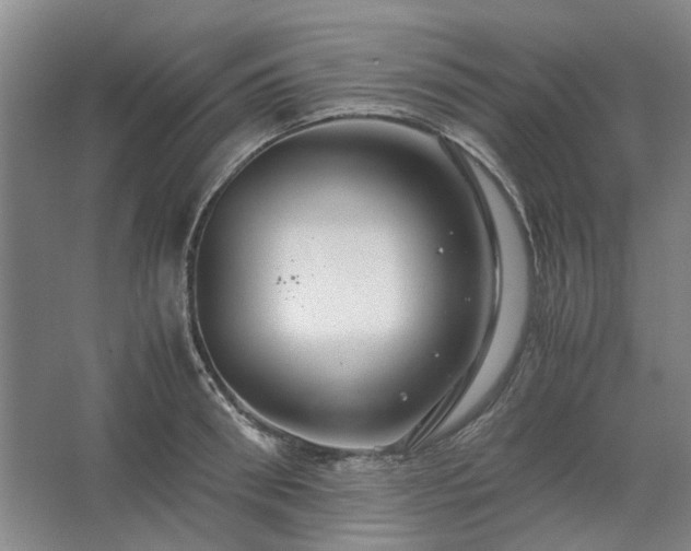 X0000062620898200512281526