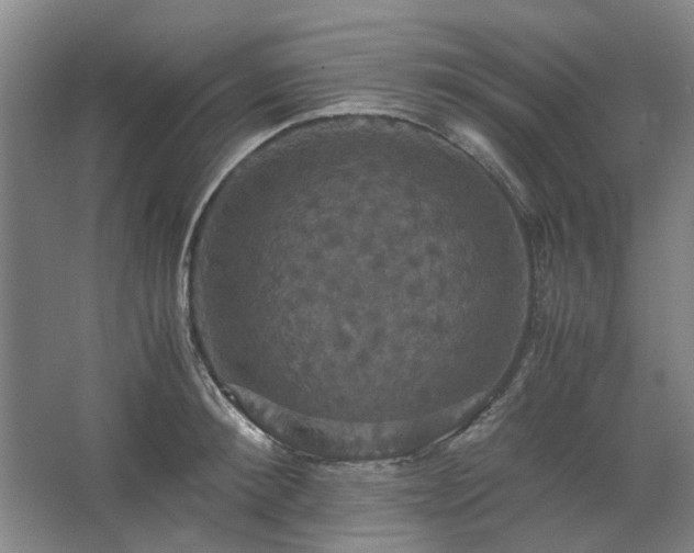 X0000062620900200512281526