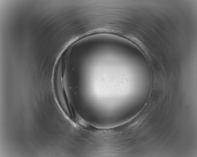 X0000062620902200512281526