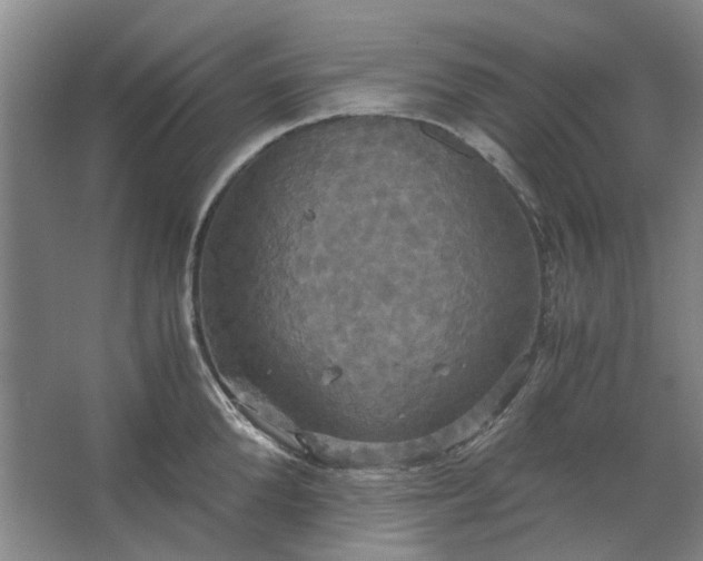 X0000062620904200512281526