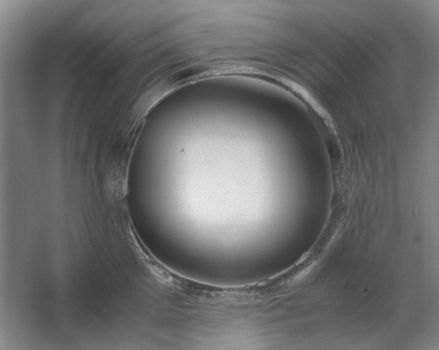 X0000062620905200512281526