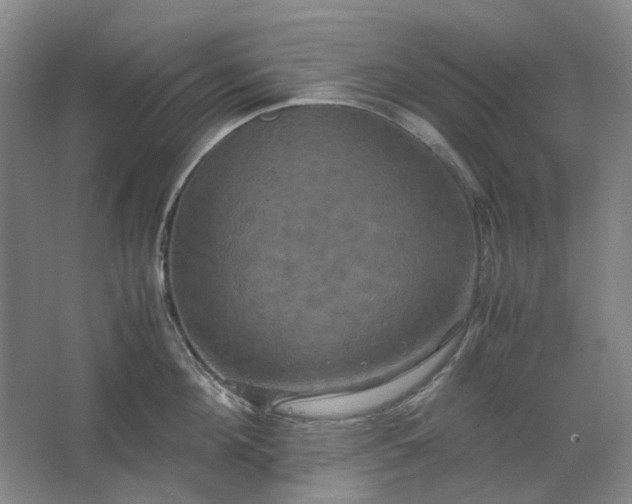 X0000062620908200512281526