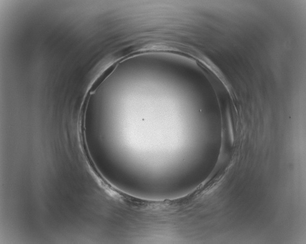 X0000062620909200512281526