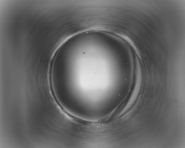 X0000062620910200512281526