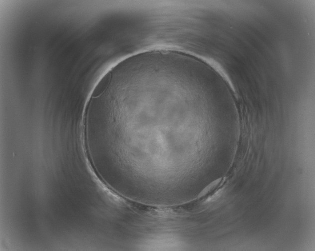 X0000062620911200512281526