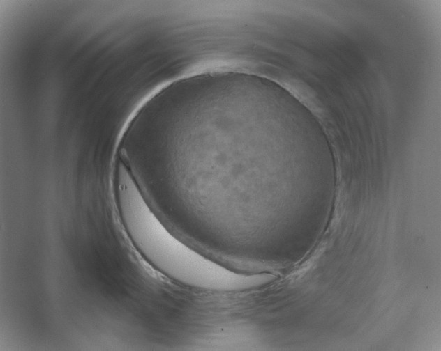 X0000062620912200512281526