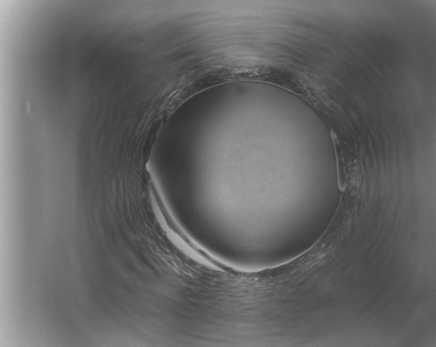 X0000062620916200512281525