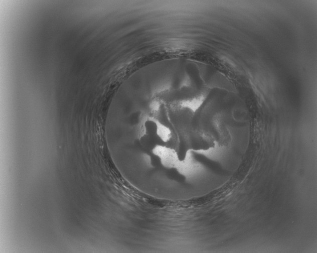 X0000062620917200512281525