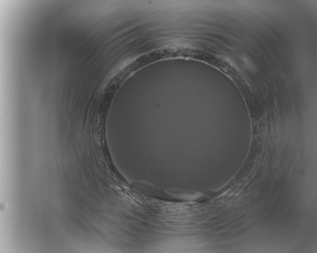 X0000062620919200512281525