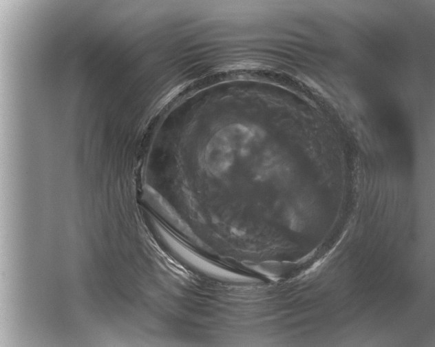 X0000062620921200512281525