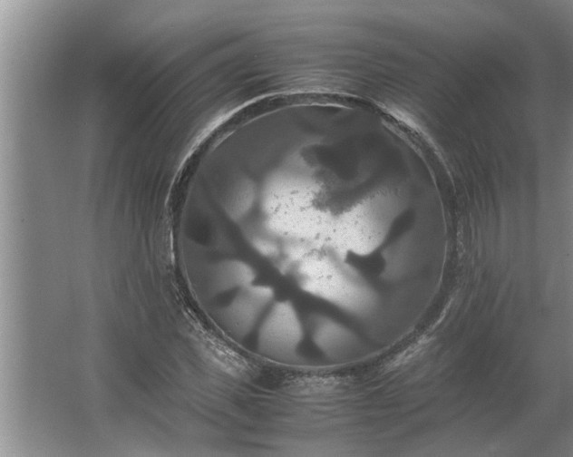 X0000062620925200512281525