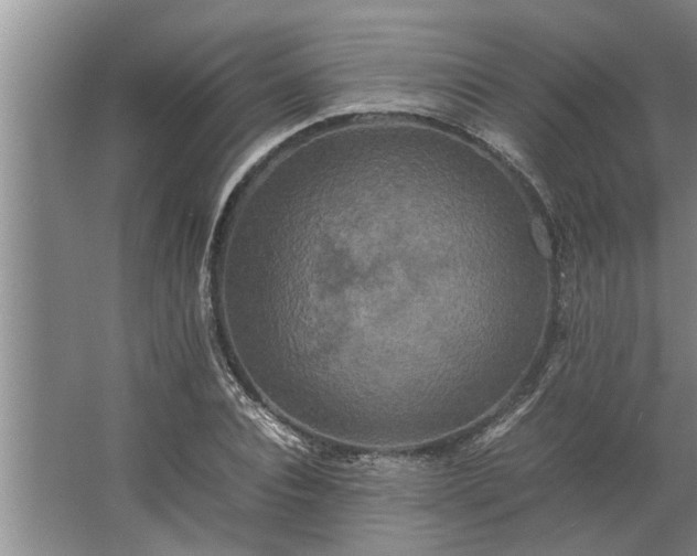 X0000062620928200512281525