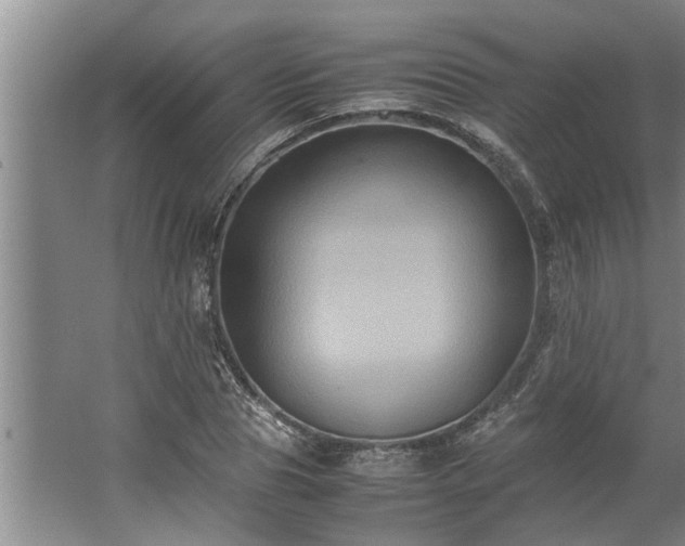 X0000062620929200512281525