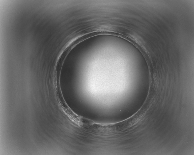 X0000062620931200512281525