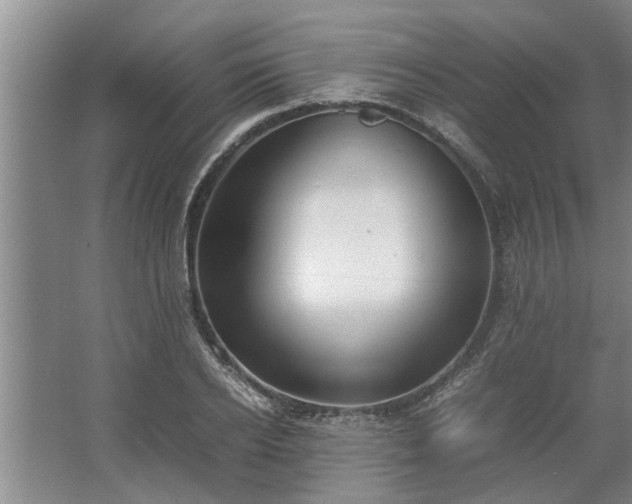 X0000062620934200512281525