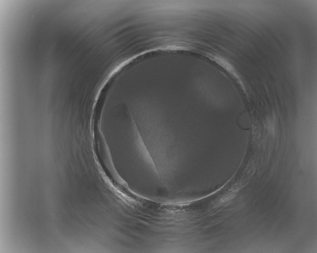 X0000062620935200512281526