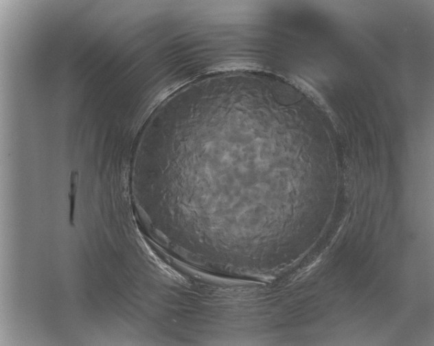 X0000062620937200512281526