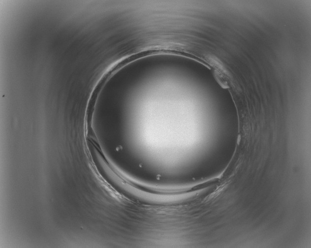 X0000062620940200512281526