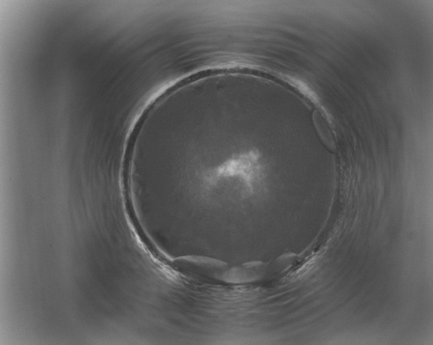 X0000062620943200512281526