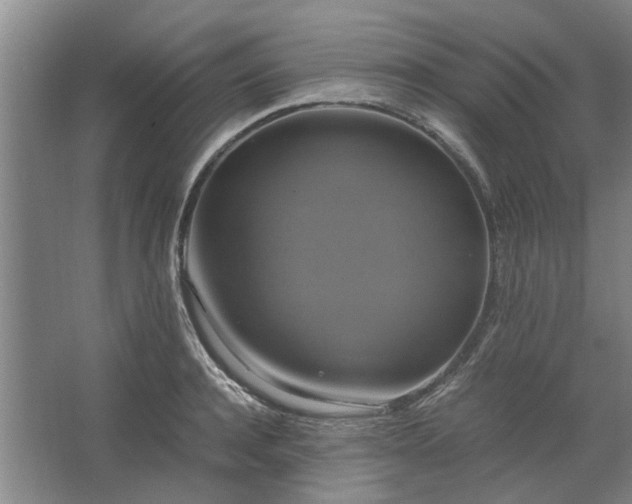 X0000062620944200512281526