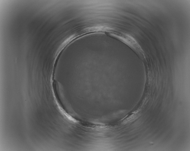 X0000062620946200512281526