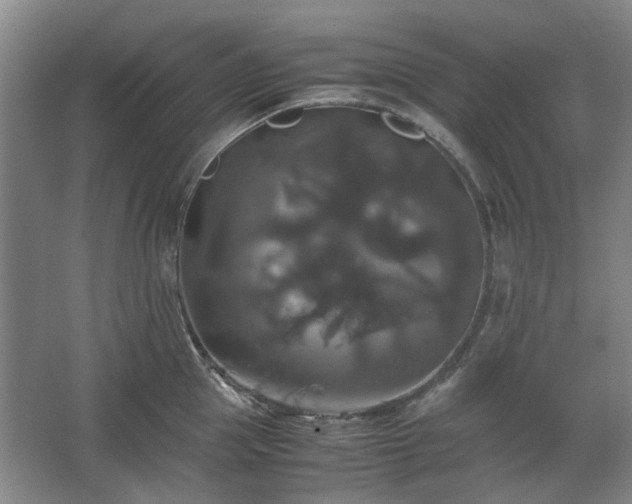 X0000062620953200512281526