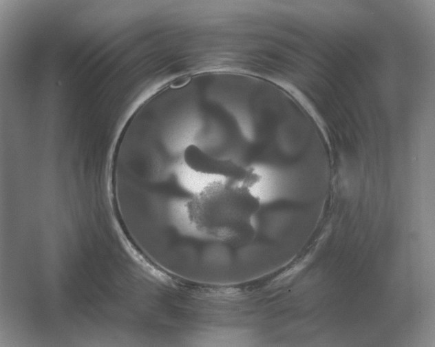 X0000062620957200512281526