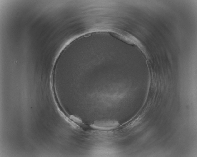 X0000062620958200512281526