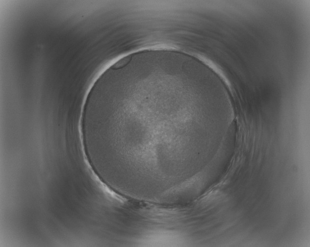 X0000062620959200512281526