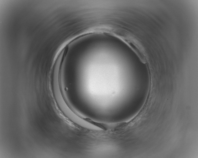 X0000062620960200512281526