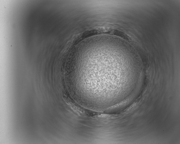 X0000062620961200512281525