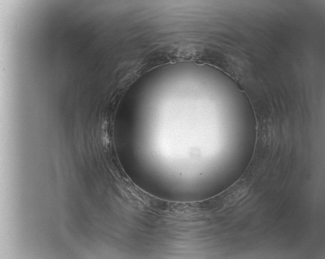 X0000062620962200512281525