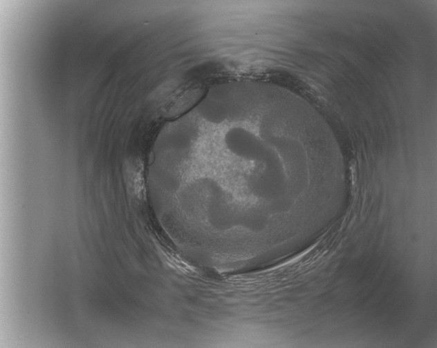 X0000062620963200512281525