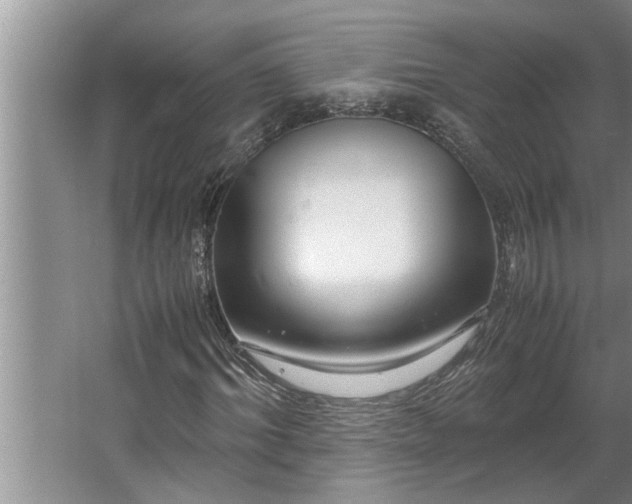 X0000062620964200512281525