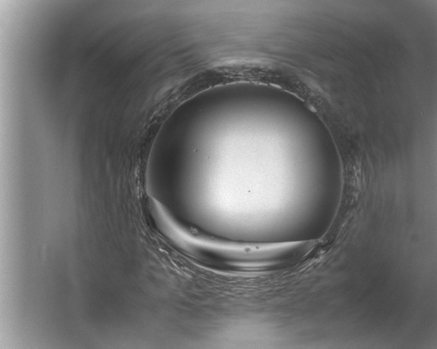 X0000062620965200512281525