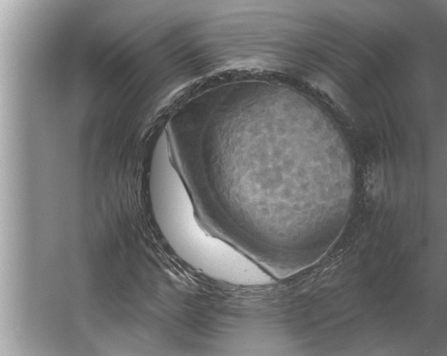 X0000062620968200512281525