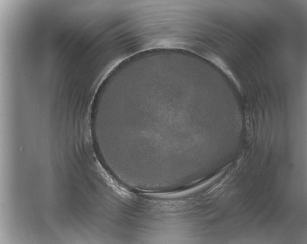 X0000062620972200512281525