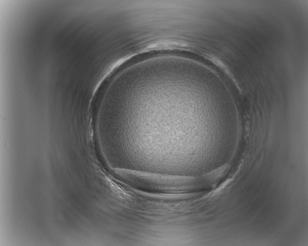 X0000062620973200512281525