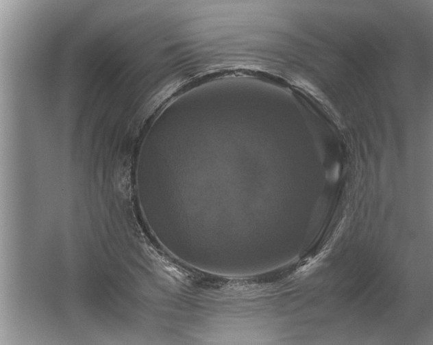 X0000062620977200512281525