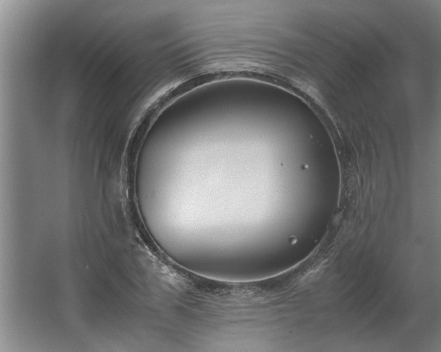 X0000062620979200512281525