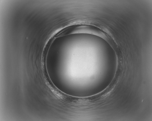 X0000062620981200512281525