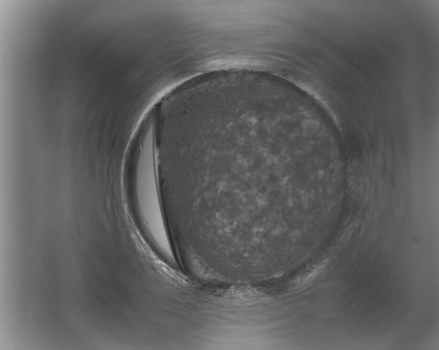 X0000062620983200512281525