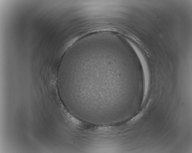 X0000062620985200512281525